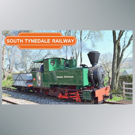 (image for) S-TYNE-D